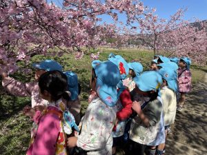 年中⭐︎桜を見に行ったよ！