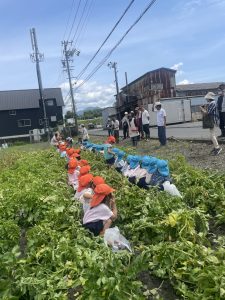 【年中】じゃがいも掘りに行ってきました！