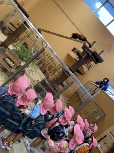 年少⭐︎日本平動物園に行ってきたよ!