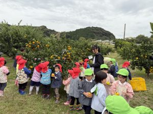 みかん狩りin藤枝・静大農場　