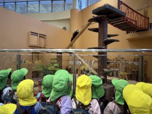 年長☆日本平動物園